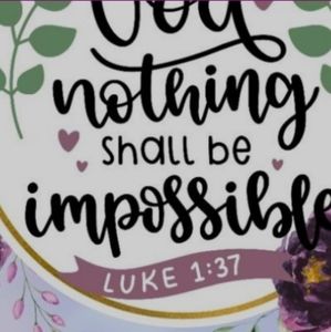 Meet your Posher, Lou